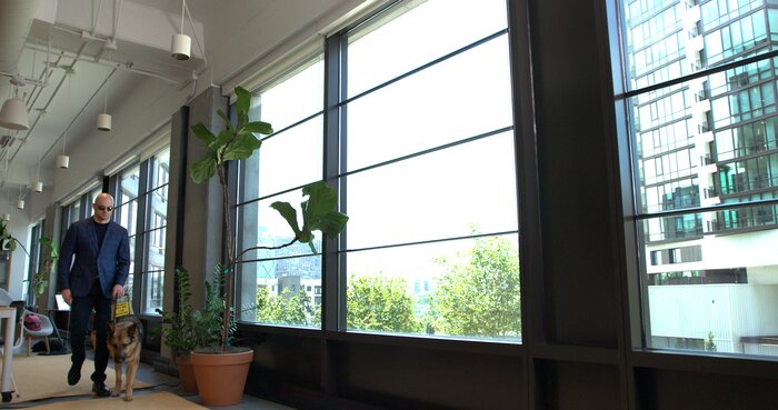 Wide portrait of Chad E Foster by window in professional setting with natural light